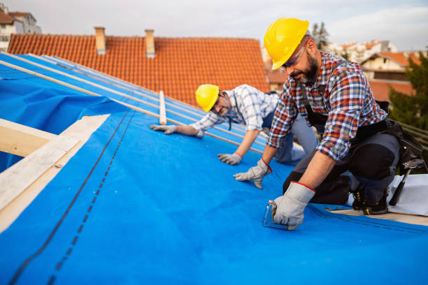 Best Roof Ventilation Installation  in USA